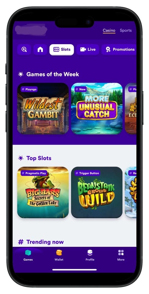 Screenshot showing 1777bet App interface with intuitive menus and game choices